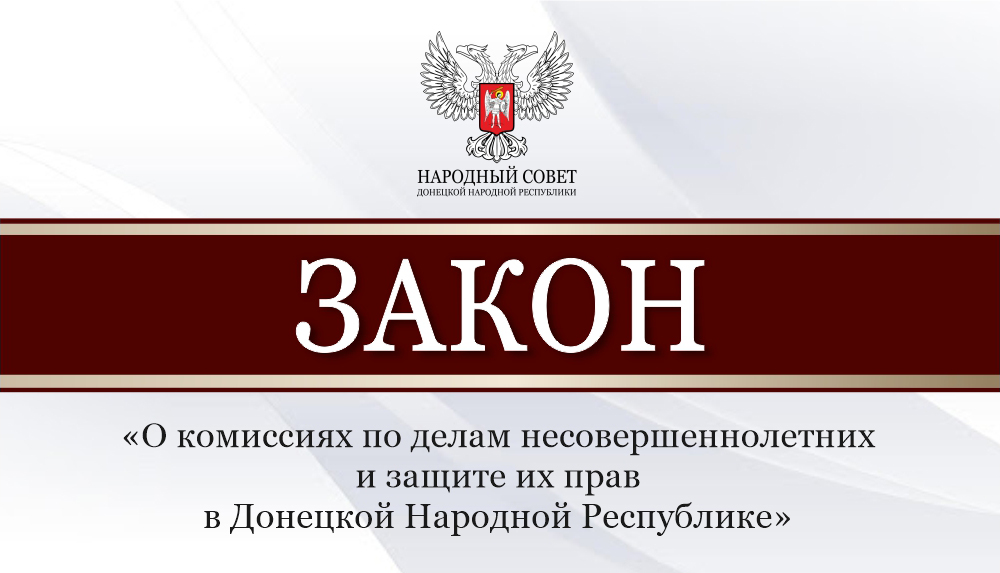 Принят закон о комиссиях по делам несовершеннолетних и защите их прав в Донецкой Народной Республике.