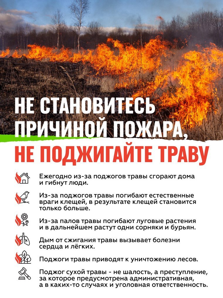НЕ ПОДЖИГАЙТЕ ТРАВУ!.