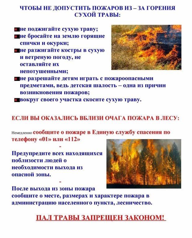ПАЛ ТРАВЫ!.