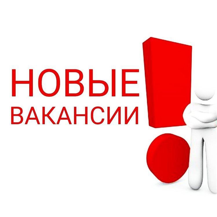 Региональному оператору ГУП ДНР «Донснабкомплект» по вывозу ТКО в городе Ждановка требуются.