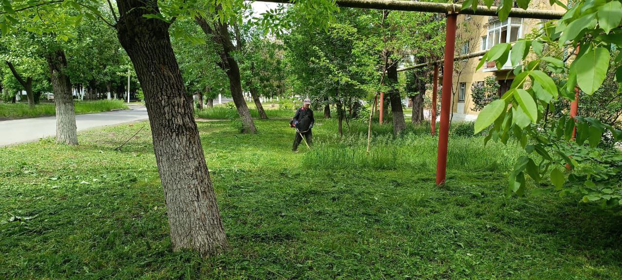В Ждановке продолжаются работы по благоустройству.