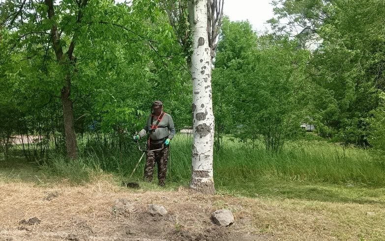 В Ждановке ведется работа по покосу карантинных трав.