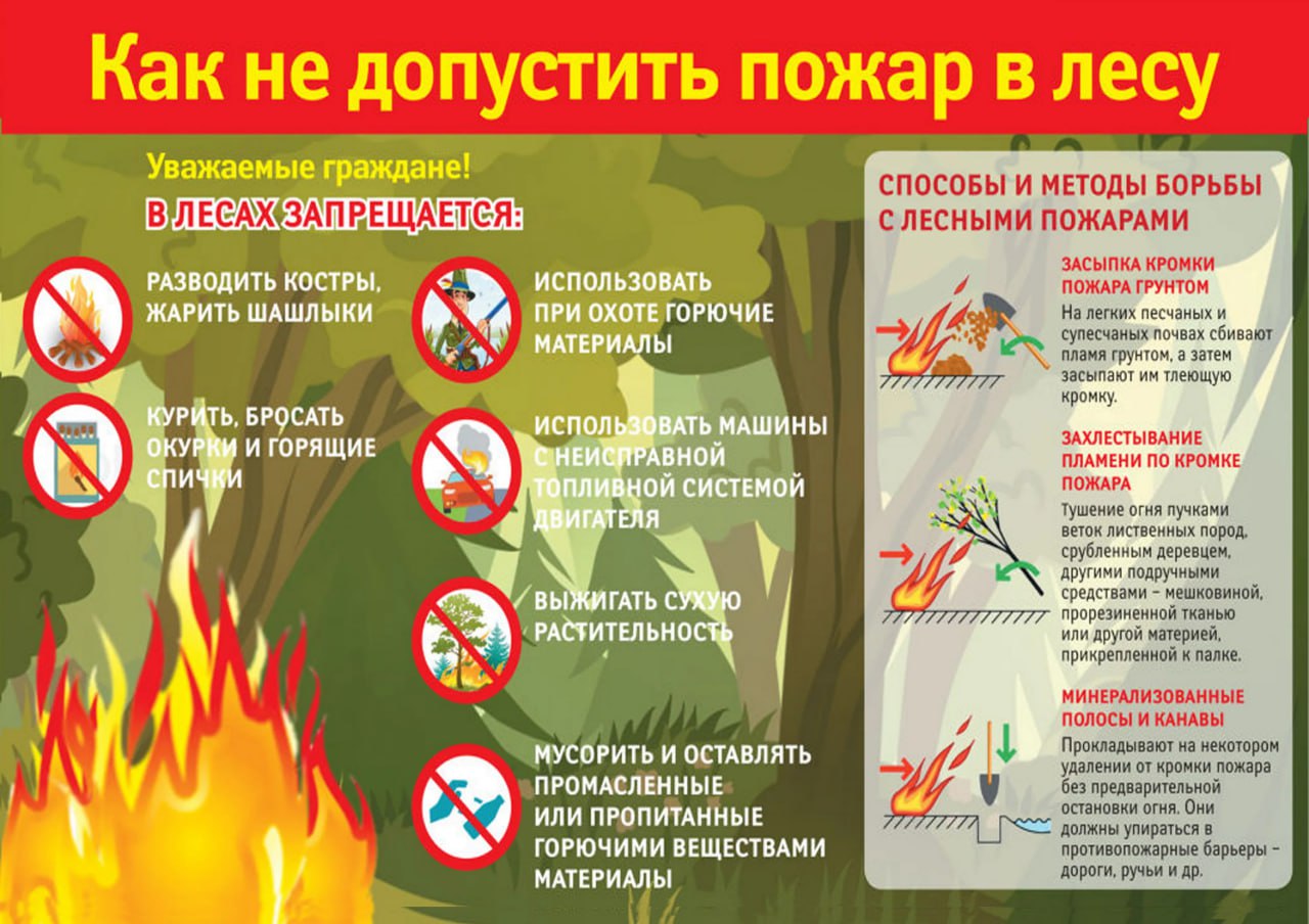 Как не допустить пожара в лесу.