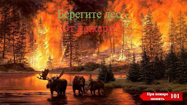 Берегите лес от пожара. Берегите лес от пожара.