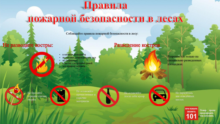 Правила пожарной безопасности в лесах!. Правила пожарной безопасности в лесах!.