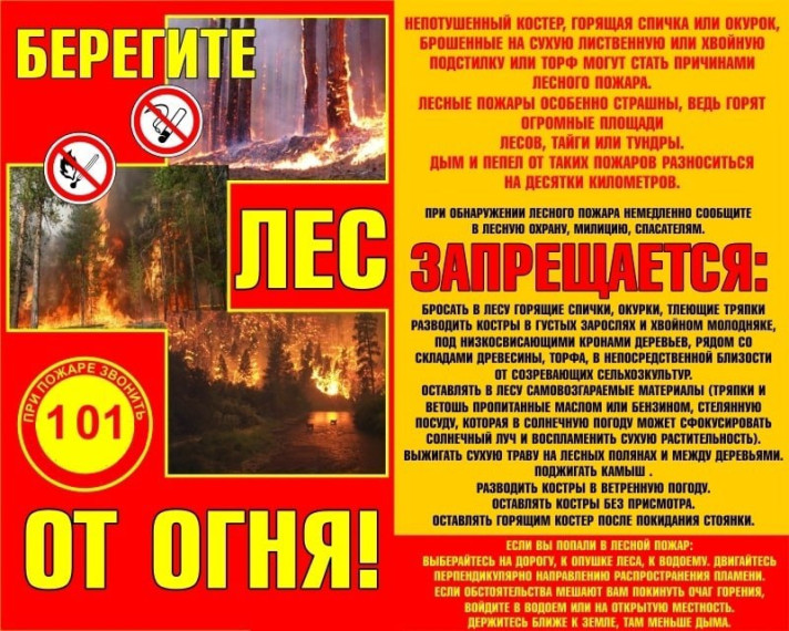 Берегите лес от огня!. Берегите лес от огня!.