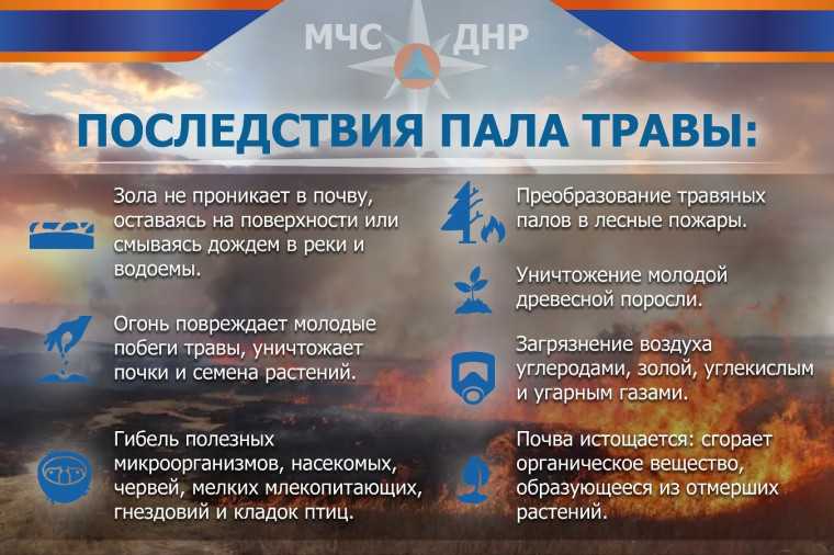 Последствия пала травы. Последствия пала травы.