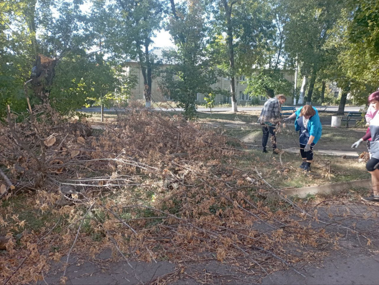 Ждановцы участвуют в благоустройстве города. Ждановцы участвуют в благоустройстве города.