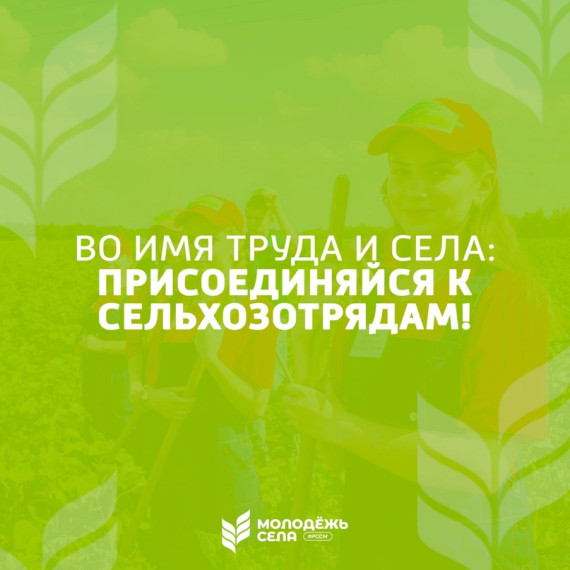 МОЛОДЕЖЬ ЗА СЕЛО: ПРИСОЕДИНЯЙСЯ К СЕЛЬХОЗОТРЯДАМ. МОЛОДЕЖЬ ЗА СЕЛО: ПРИСОЕДИНЯЙСЯ К СЕЛЬХОЗОТРЯДАМ.