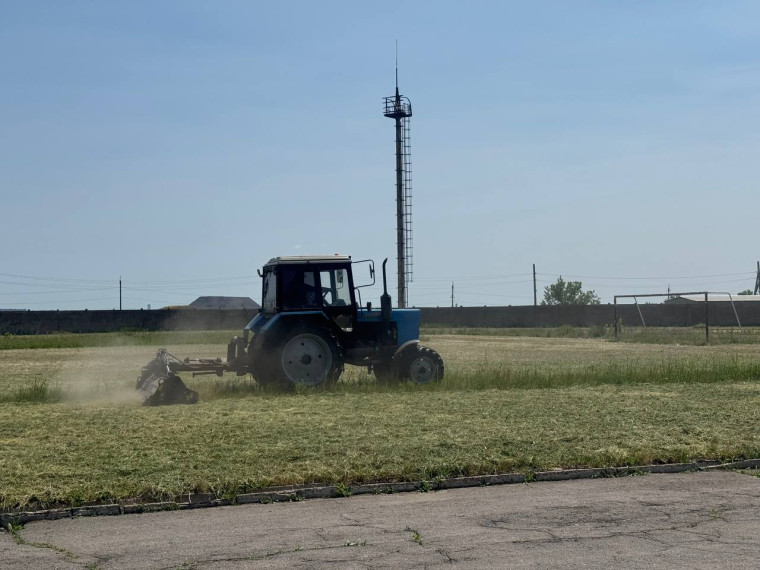 В Ждановке продолжается покос сорных и карантинных трав. В Ждановке продолжается покос сорных и карантинных трав.