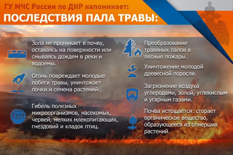 Последствия пала травы. Последствия пала травы.