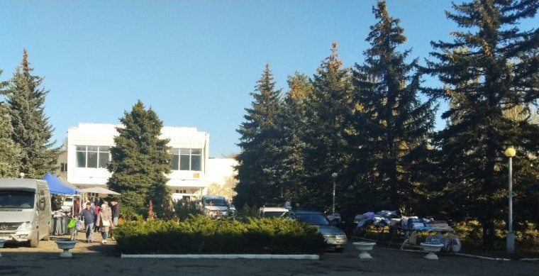 Ярмарка в Ждановке. Ярмарка в Ждановке.